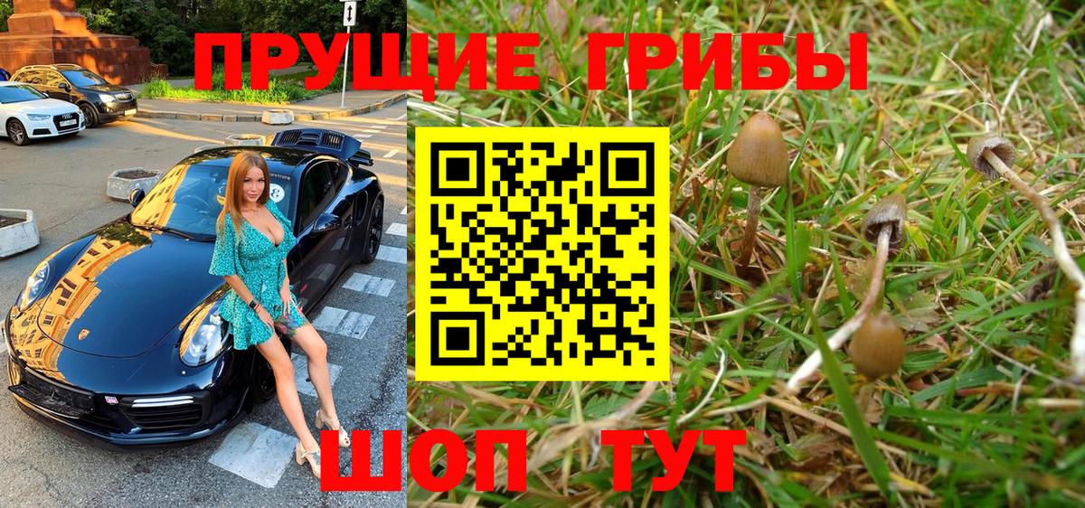 Псилоцибиновые грибы Magic Shrooms Нальчик
