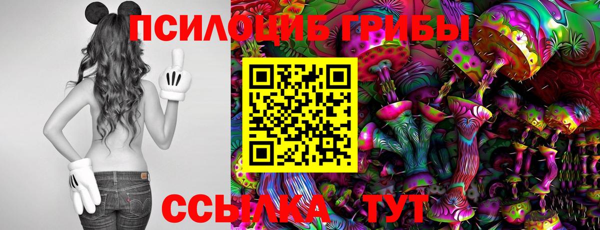 Нальчик  Псилоцибиновые грибы мухоморы  Вход с VPN 